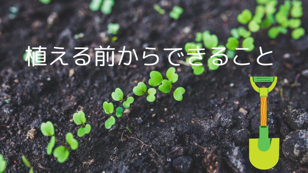 栽培前にできること